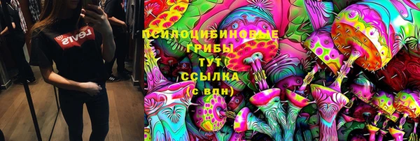 скорость Белокуриха
