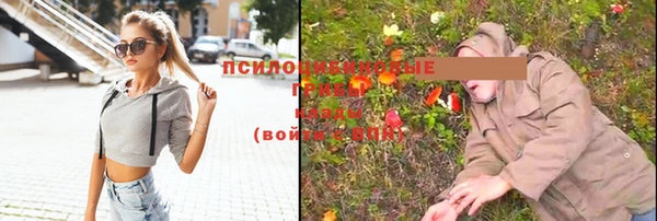 скорость Белокуриха